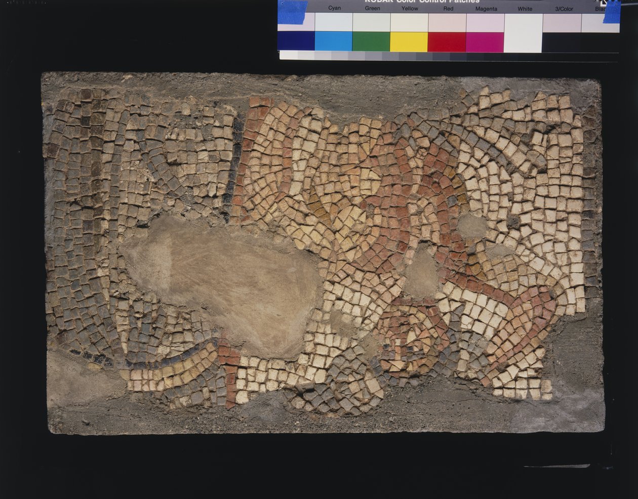 Mosaiikki House of Menander kanssa Zeus, 3. - 4. vuosisadat (kalkkikiven ja marmorin tesserat) tekijältä Roman