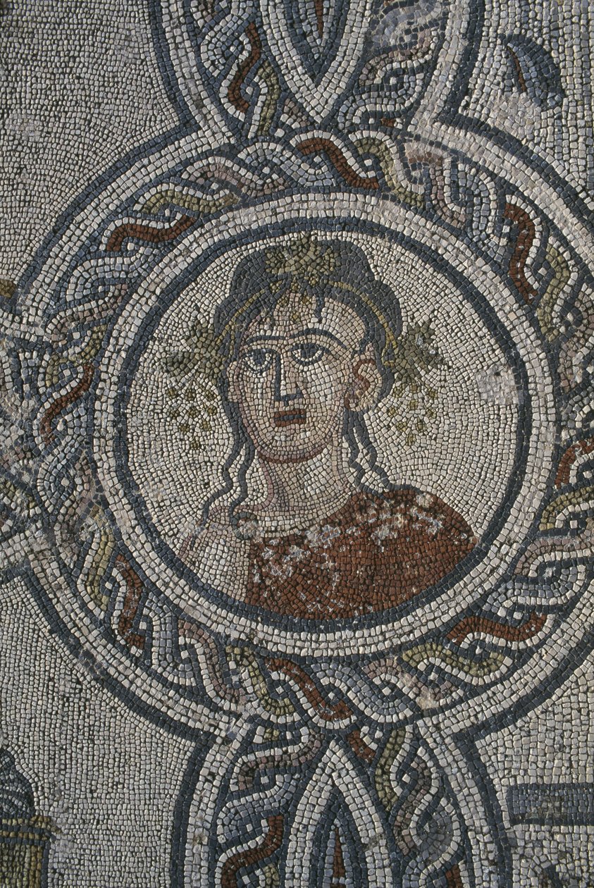 Neljän vuodenajan mosaiikki, Dionysoksen talo, yksityiskohta, pää (mosaiikki) tekijältä Roman