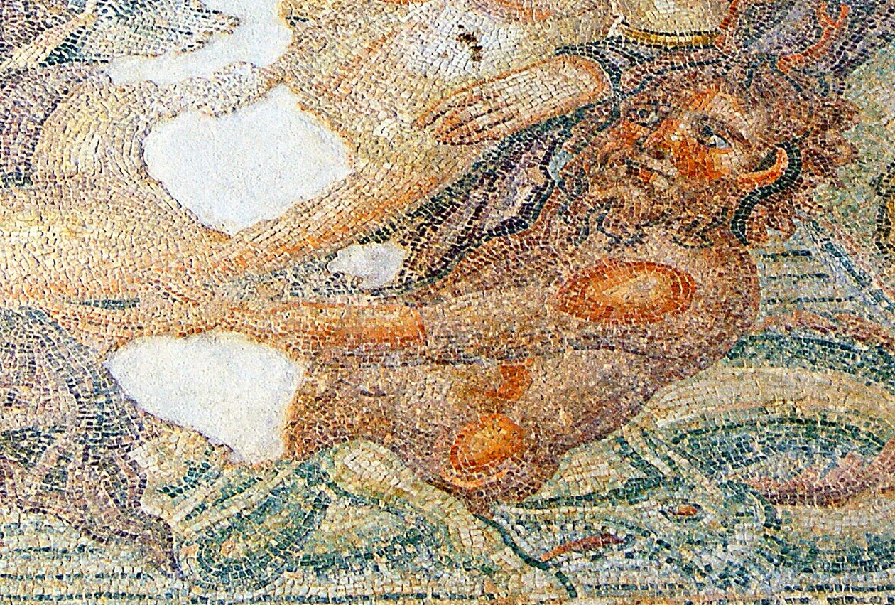 Nereides ja Bythos, yksityiskohta Bythosista, House of Aion, Paphos, Kyproksen mosaiikki tekijältä Roman