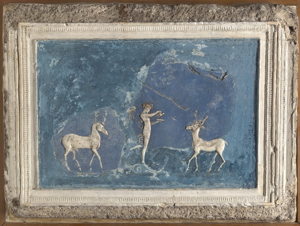 helpotuspaneeli, tekijältä Roman