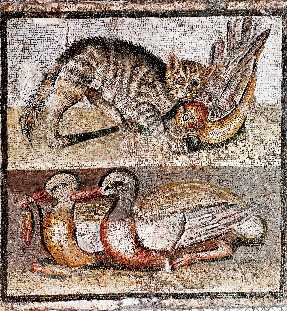Roomalainen taide: mosaiikki, joka kuvaa villikissaa pyydystämässä peltopyytä ja kahta ankkaa. 200-150 eaa. Rooma, Museo Nazionale Romano - Roomalainen taide: mosaiikki, joka kuvaa villikissaa pyydystämässä peltopyyn ja kaksi ankkaa. 200-150 eaa. Museo Naz tekijältä Roman