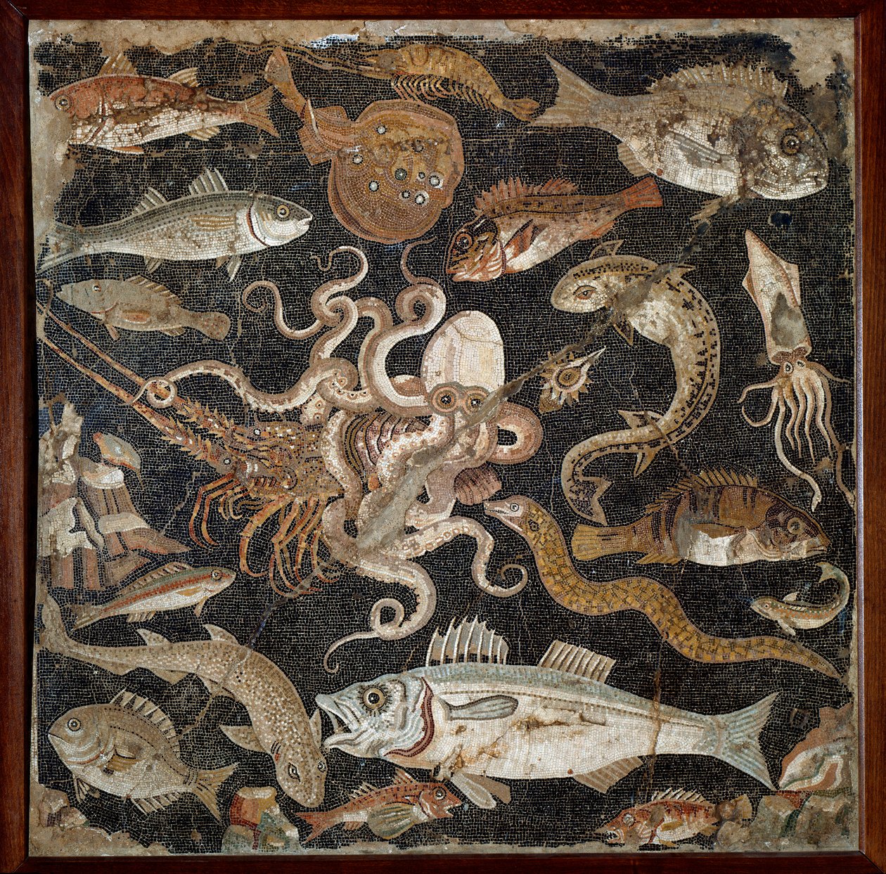 Roomalainen taide: "" Meren eläimistö"" Mosaiikki 2. vuosisadalta. Napoli, Kansallinen arkeologinen museo, inv. 120177 - Roomalainen taide: Merielämä. Mosaiikki 2. vuosisadalta eKr. Kansallinen arkeologinen museo, inv. 120177, Napoli, Italia. tekijältä Roman