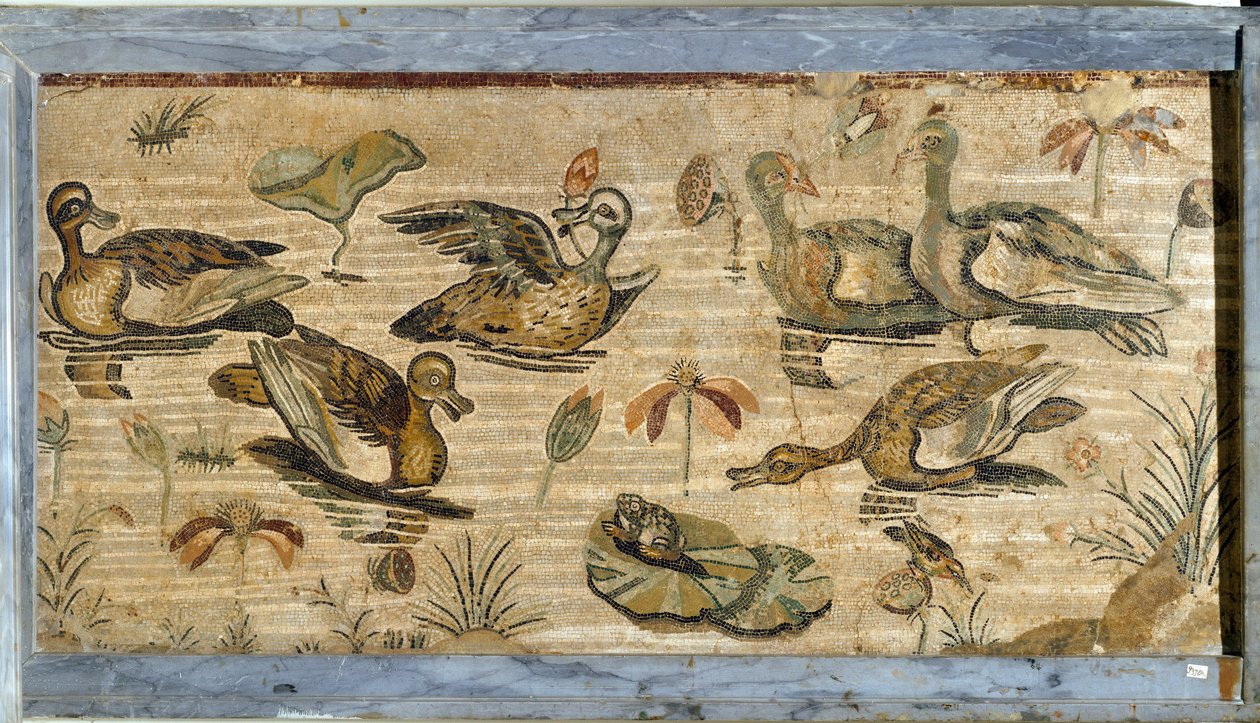 Roomalainen taide: ankka, sammakko ja lumpeet lammessa. Mosaiikki Pompejin eläimistön huvilasta. 1. vuosisadalla. Himmeä. 132x164 cm. Museo Archeologico Nazionale, Napoli tekijältä Roman