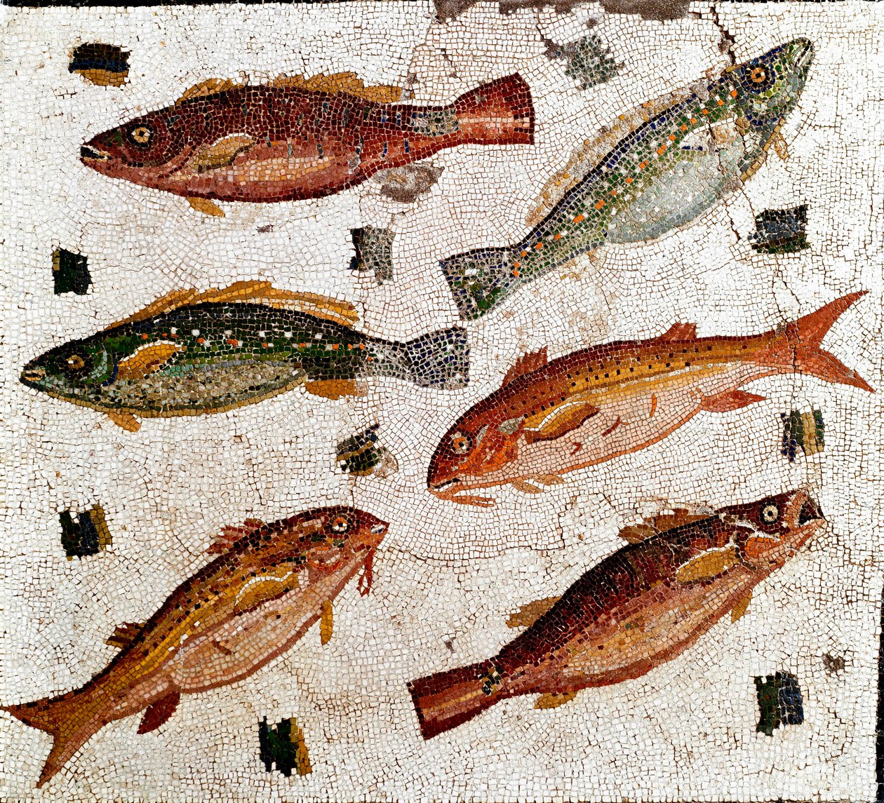 Roomalainen taide: kalaa edustava mosaiikki. 1. vuosisadalla eaa. Rooma, National Roman Museum - Roomalainen taide: Mosaiikki, joka kuvaa kaloja. 1. vuosisadalla eaa. Romanon kansallismuseo, Rooma, Italia tekijältä Roman