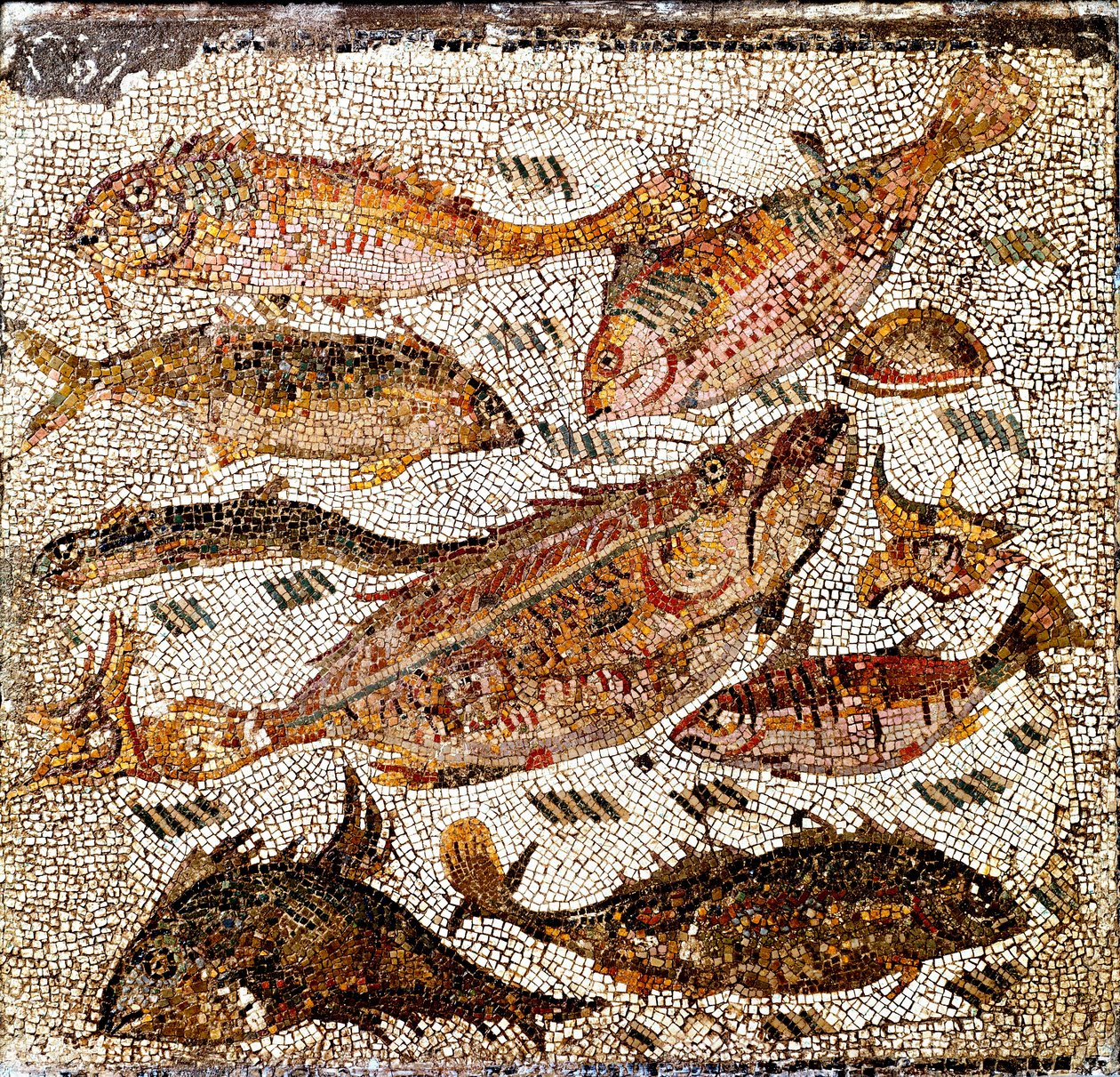 Roomalainen taide: kaloja edustava mosaiikki. 1. tai 2. vuosisadalla jKr. Villa dei Settimiistä Via Cassialla. Rooma, Museo Nazionale Romano -Roomalainen taide: kaloja kuvaava mosaiikki. 1. tai 2. vuosisadalla jKr. Villa dei Settimii, Via Cassia. Kansallin tekijältä Roman