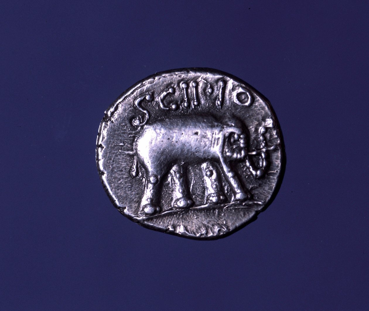 Hopeakolikko, joka edustaa elefanttia, Scipions-fetiche-eläintä. Lucius Caecilius Metellus tarttui karthagolaisten norsuihin vuonna 251 eaa. 47-46 eaa. tekijältä Roman