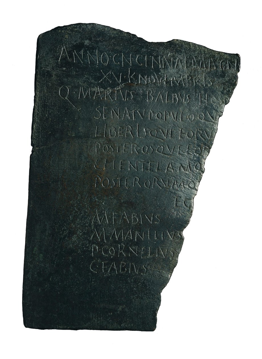 Sairaaloiden hallitus tekijältä Roman