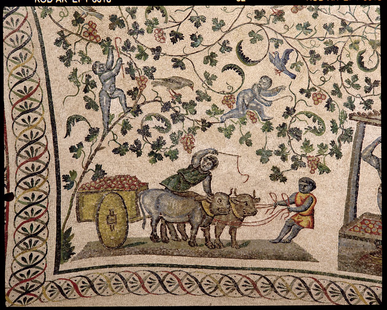 Rypäleen sato (mosaiikki) tekijältä Roman
