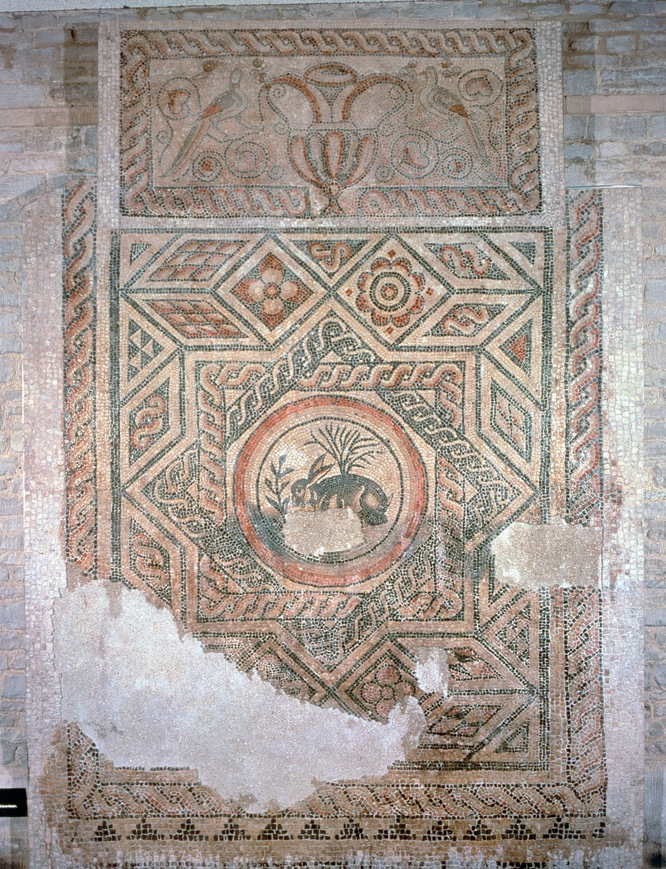 Jäniksen mosaiikki, 350 jKr (mosaiikki) tekijältä Roman
