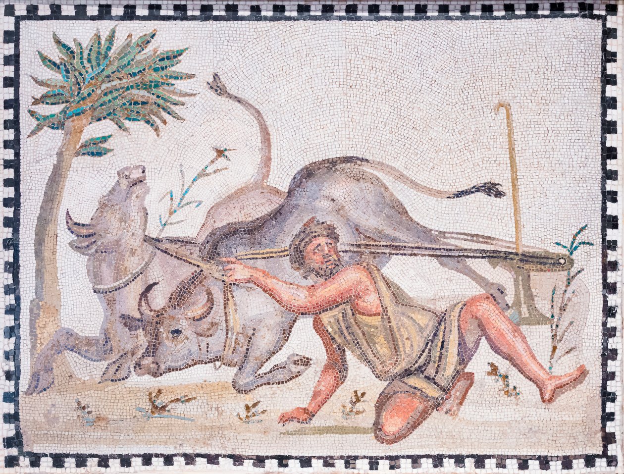 Kyntäjä härkien kanssa, 3.-4. vuosisadat (mosaiikki) tekijältä Roman