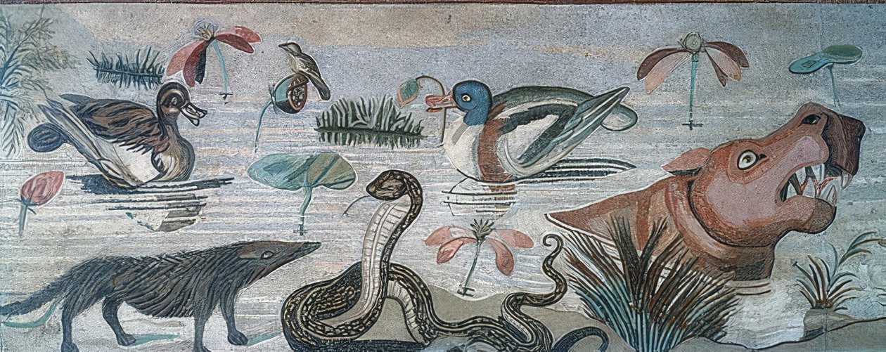 Eläimet Niilissä, Faunin talosta (Casa del Fauno), Pompejista tekijältä Roman
