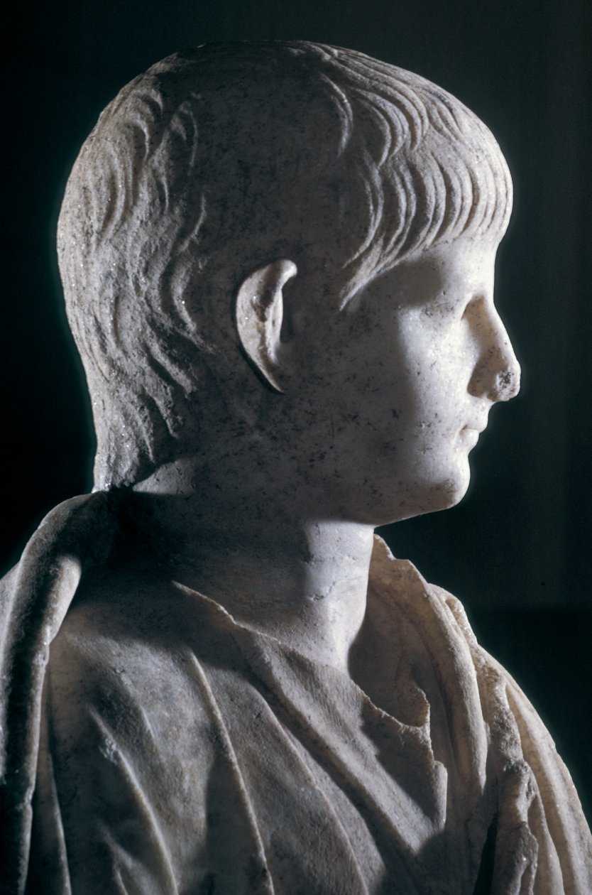 Nuoren Neron togaate-patsas, sivukuva päästä, noin 50 jKr (marmori) (140378:n yksityiskohta) tekijältä Roman