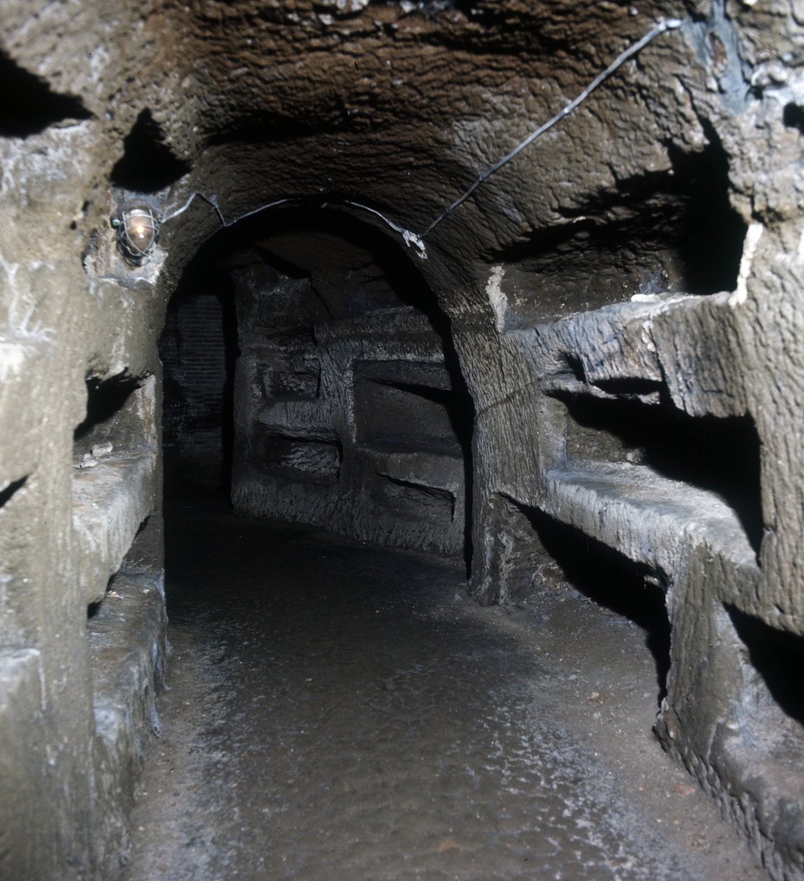 Scipionin hauta Roomassa. tekijältä Roman
