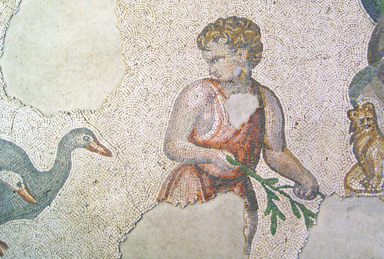 Tuntematon kuva tekijältä Roman
