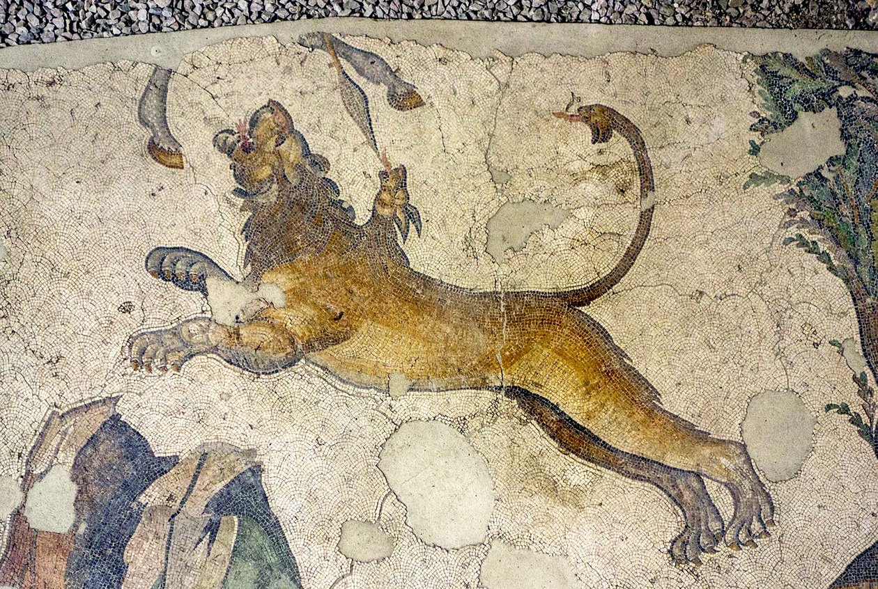 Tuntematon kuva tekijältä Roman