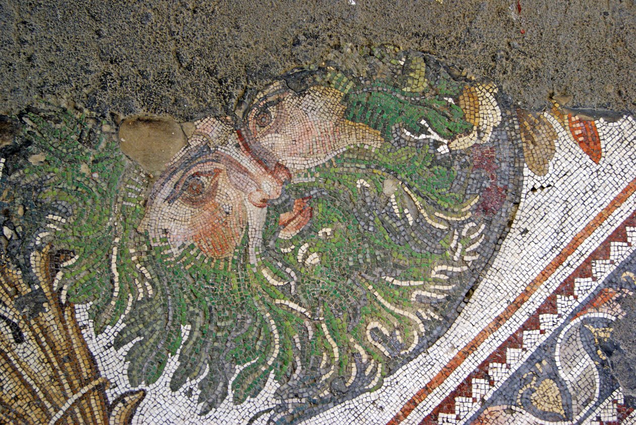 Tuntematon kuva tekijältä Roman