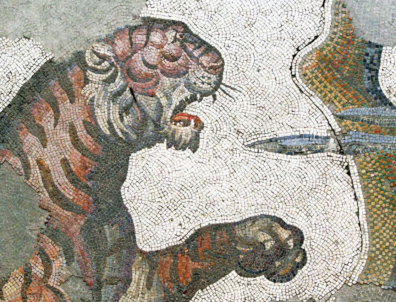 Tuntematon kuva tekijältä Roman