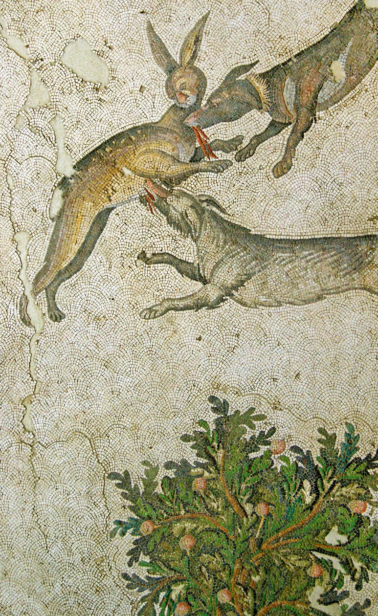 Tuntematon kuva tekijältä Roman