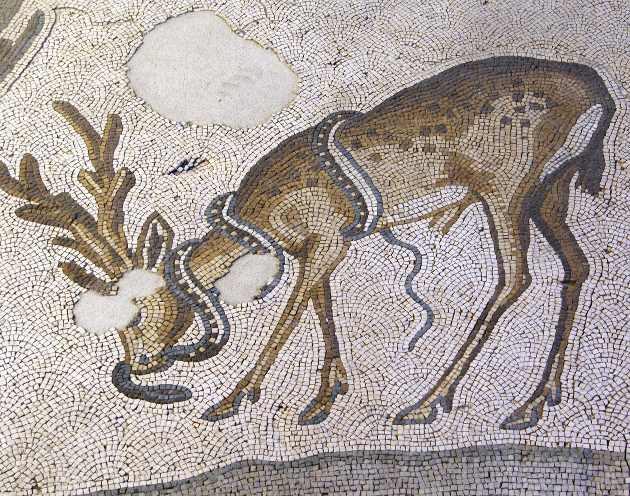 Tuntematon kuva tekijältä Roman