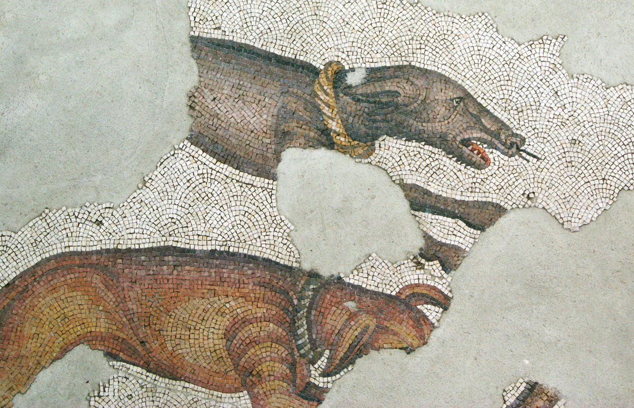 Tuntematon kuva tekijältä Roman