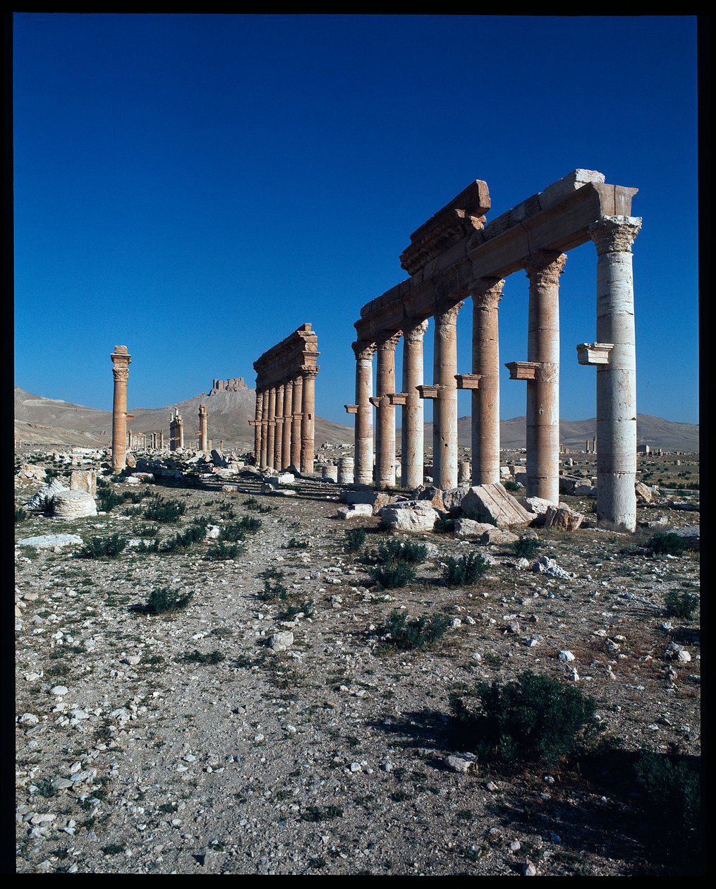 Näkymä Palmyran jäänteistä (valokuvaus) tekijältä Roman