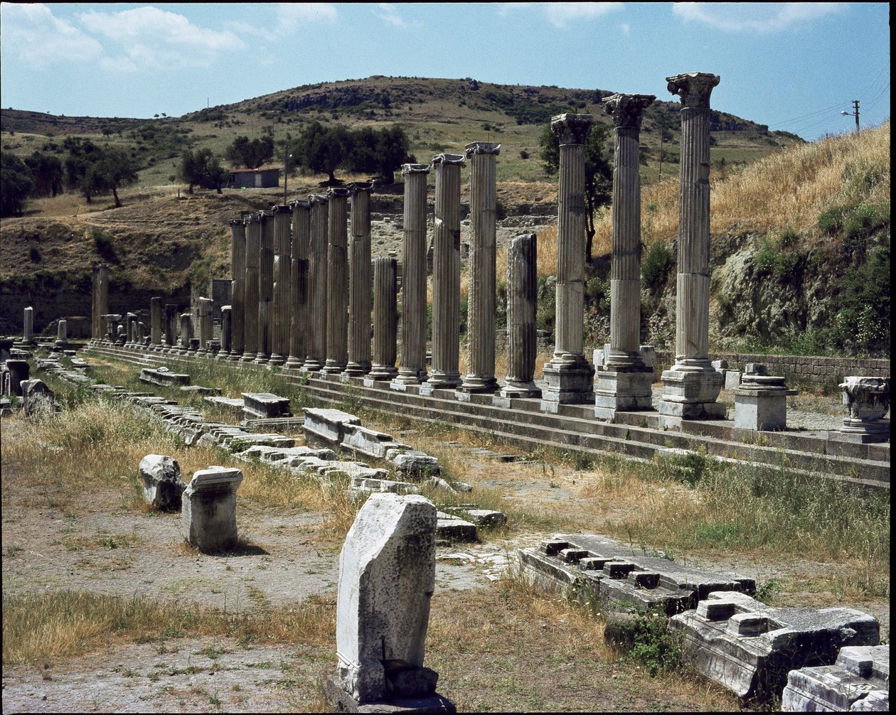 Näkymä Asklepioksen pyhäkölle (283-133 eKr.) tekijältä Roman