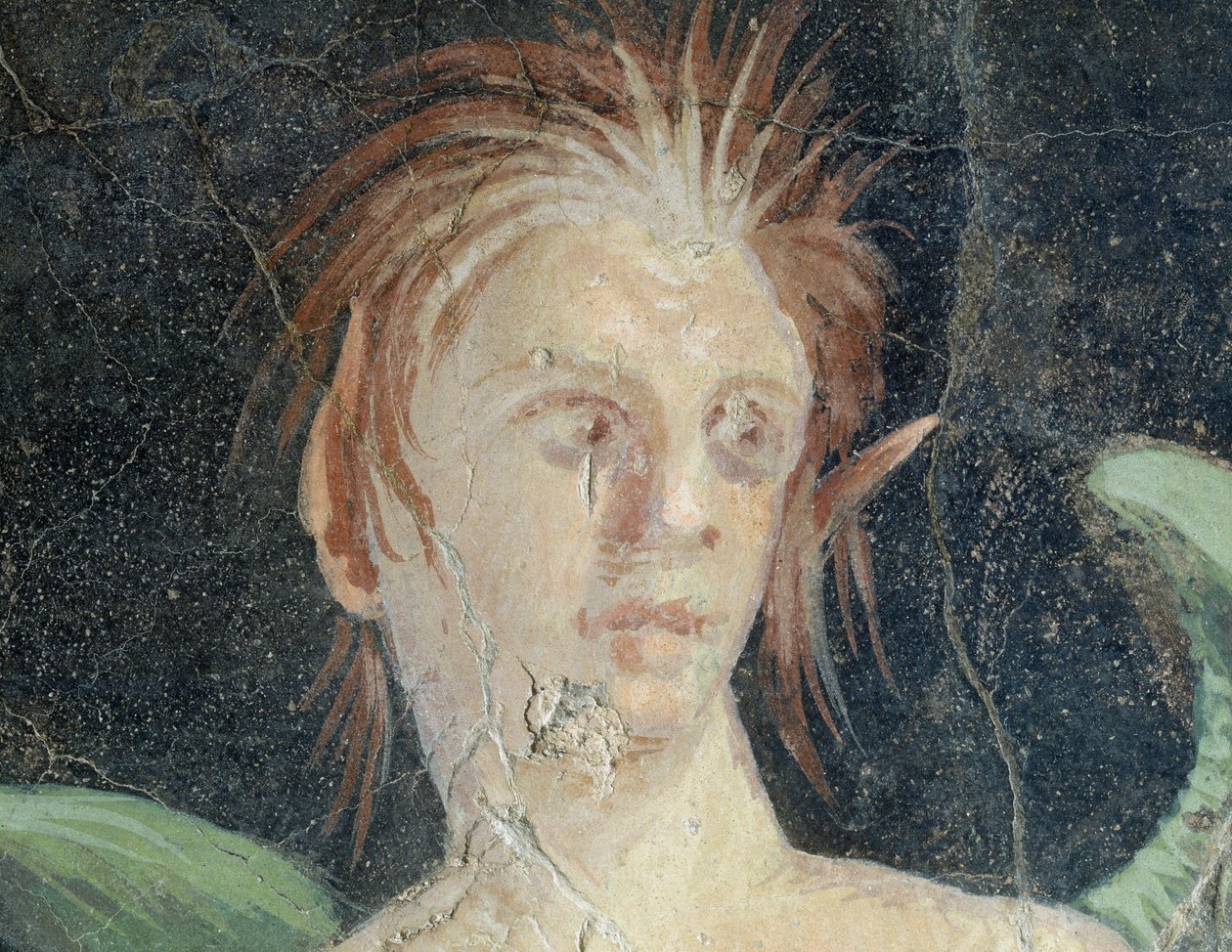 Siivekäs nero, freskon fragmentti Publius Fannius Synistorin huvilasta, Boscoreale, Campania, Italia, Yksityiskohta, roomalainen sivilisaatio tekijältä Roman