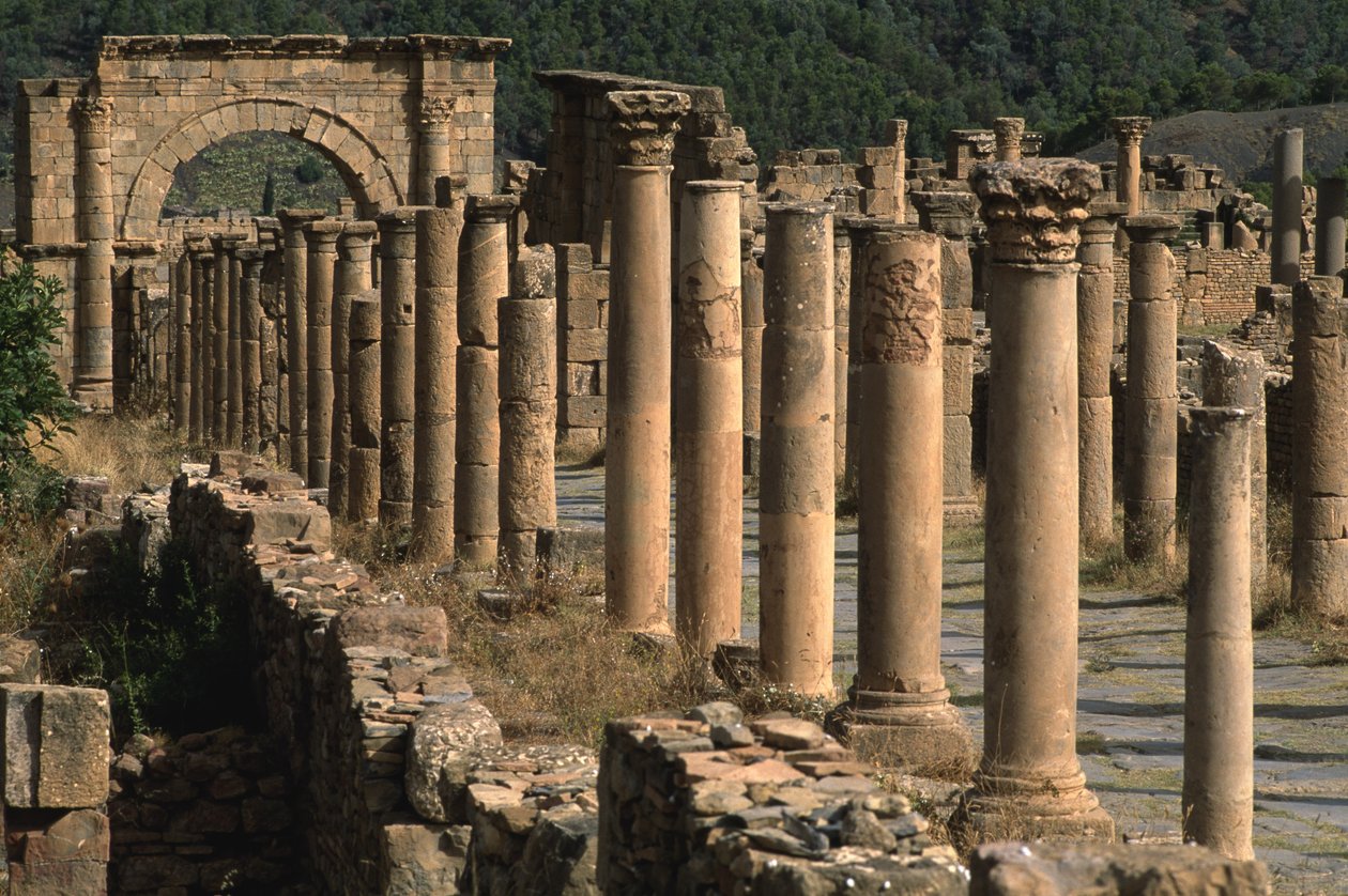 Cardo, korkea keisarillinen aika (27 eKr.-395 jKr.) tekijältä Roman Imperial Period