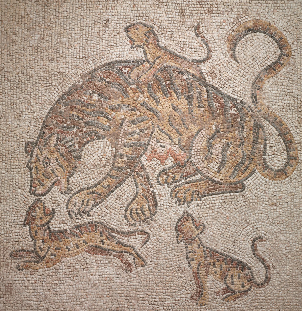 Tiikerit ja pennut, 300 vuotta tekijältä Roman Imperial Period