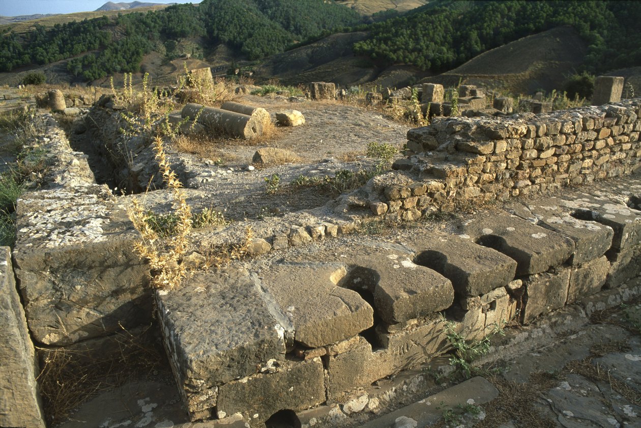 Näkymä yhteisestä wc:stä, korkea keisarillinen aika (27 eKr.-395 jKr.) tekijältä Roman Imperial Period