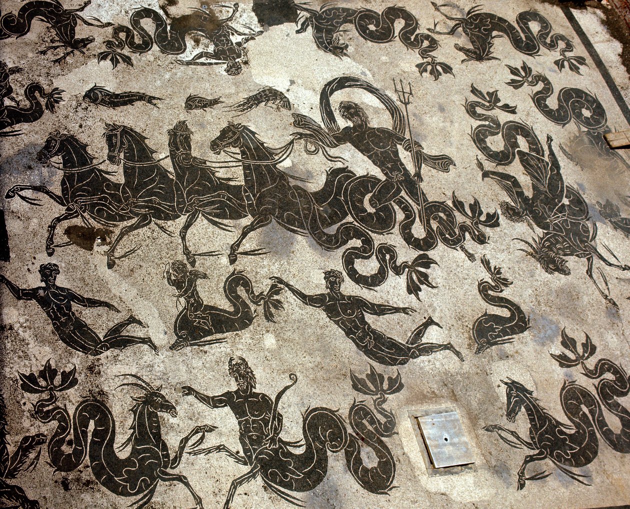 Muinainen Ostia (Ostia). Mosaiikki Neptunuksen ehdoista hänen tankissaan delfiinien ja merihirviöiden ympäröimänä tekijältä Roman Roman