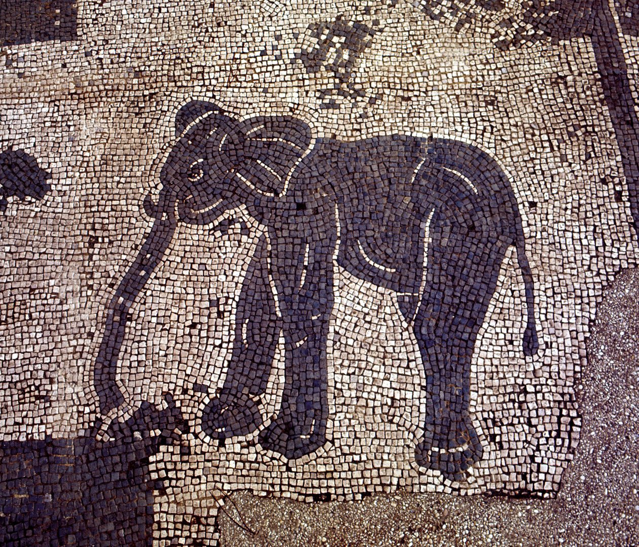 Muinainen Ostia (Ostia). Place des Corporations. Sabratha Seafarers Corporationin mosaiikki. tekijältä Roman Roman