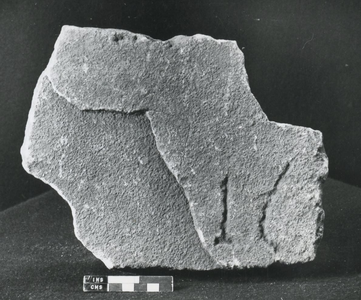 Vuosisadan kivi (kivi) tekijältä Roman Roman