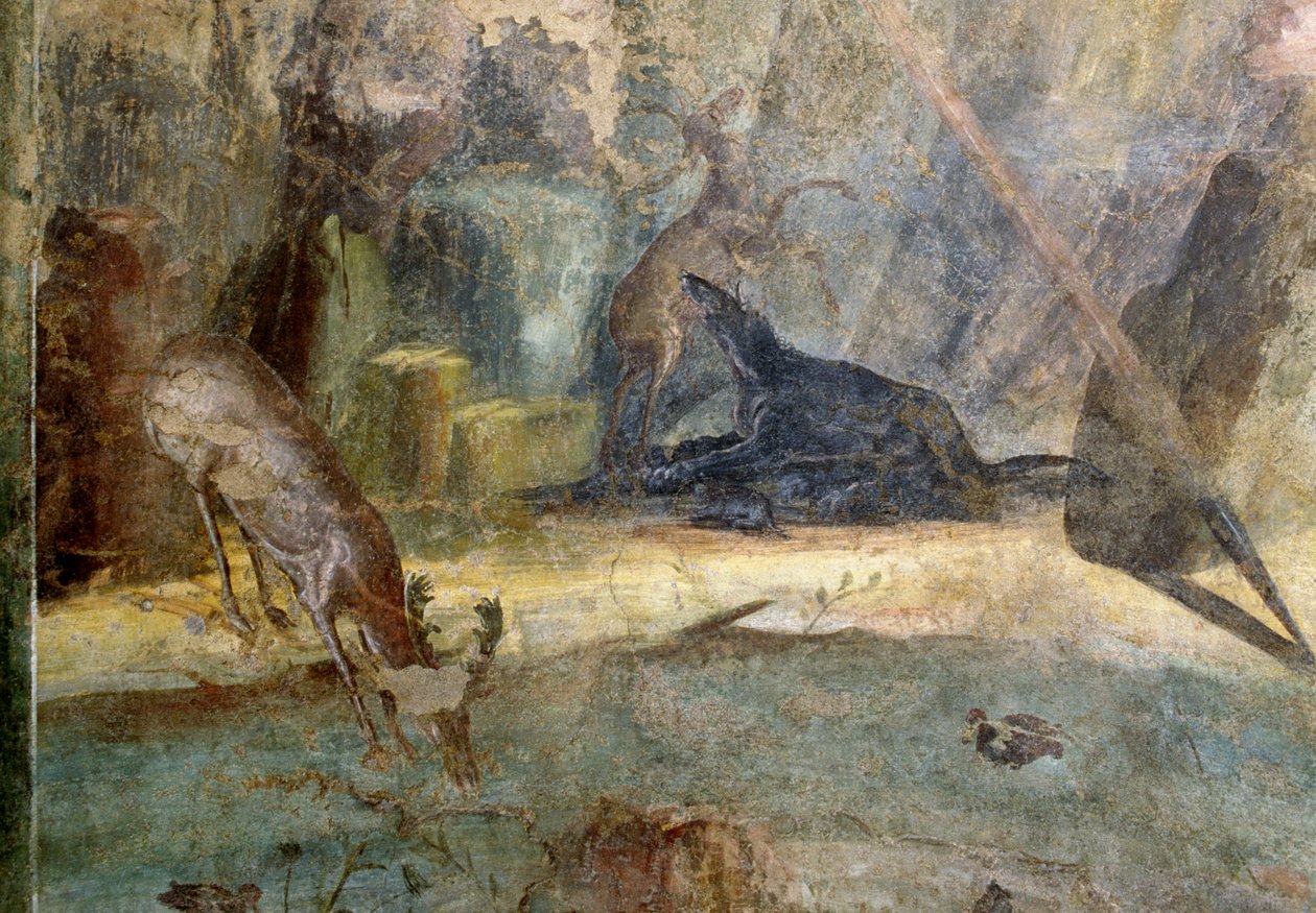 Koiran kimppuun hyökännyt hirvi, koirien syömä yksityiskohta Actaeonista, fresko House of Menanderista Pompejista (UNESCOn maailmanperintöluettelo) tekijältä Roman Roman