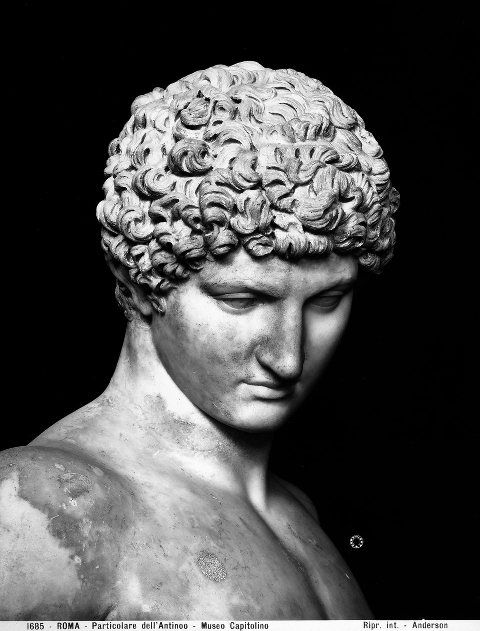 Antinouksen yksityiskohta (marmori) tekijältä Roman Roman