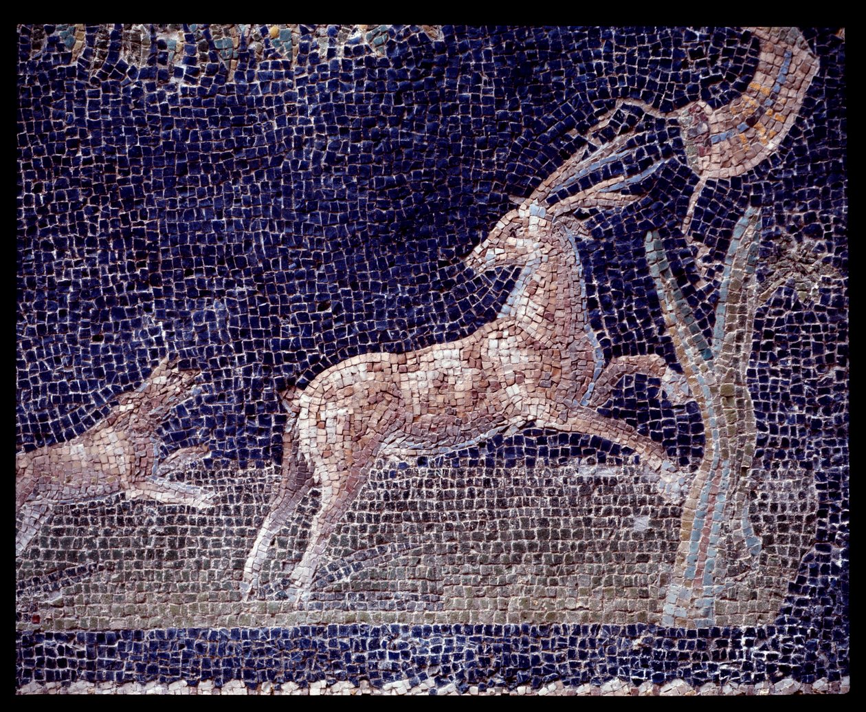 Yksityiskohta seinämosaiikeista Casa di Nettuno e Amphitriten nymfeumista, 5. vuosisadalla eKr. - 1. vuosisadalla jKr. tekijältä Roman Roman