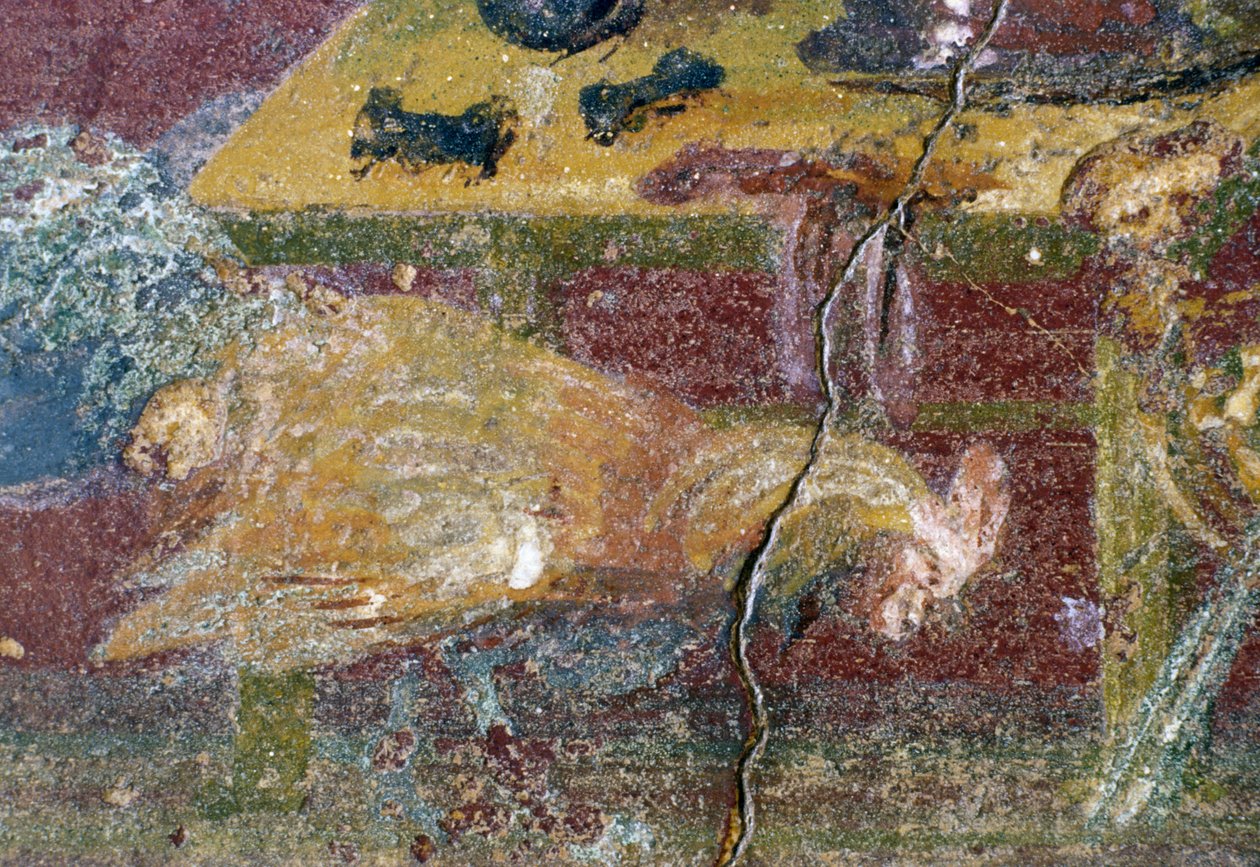 Fresco, House of Vettii, Pompeii (UNESCOn maailmanperintöluettelo). tekijältä Roman Roman