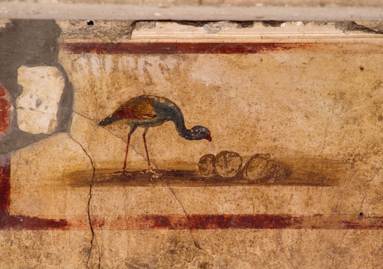Fresko, joka kuvaa lintua peristyliumista Caius Julius Polybiuksen talossa Pompejissa (UNESCOn maailmanperintöluettelo) tekijältä Roman Roman