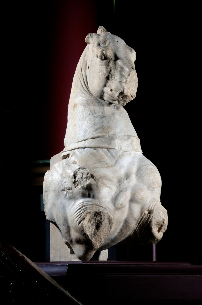 Hevosen etuosa (marmori) (katso myös 371182 & 371183) tekijältä Roman Roman