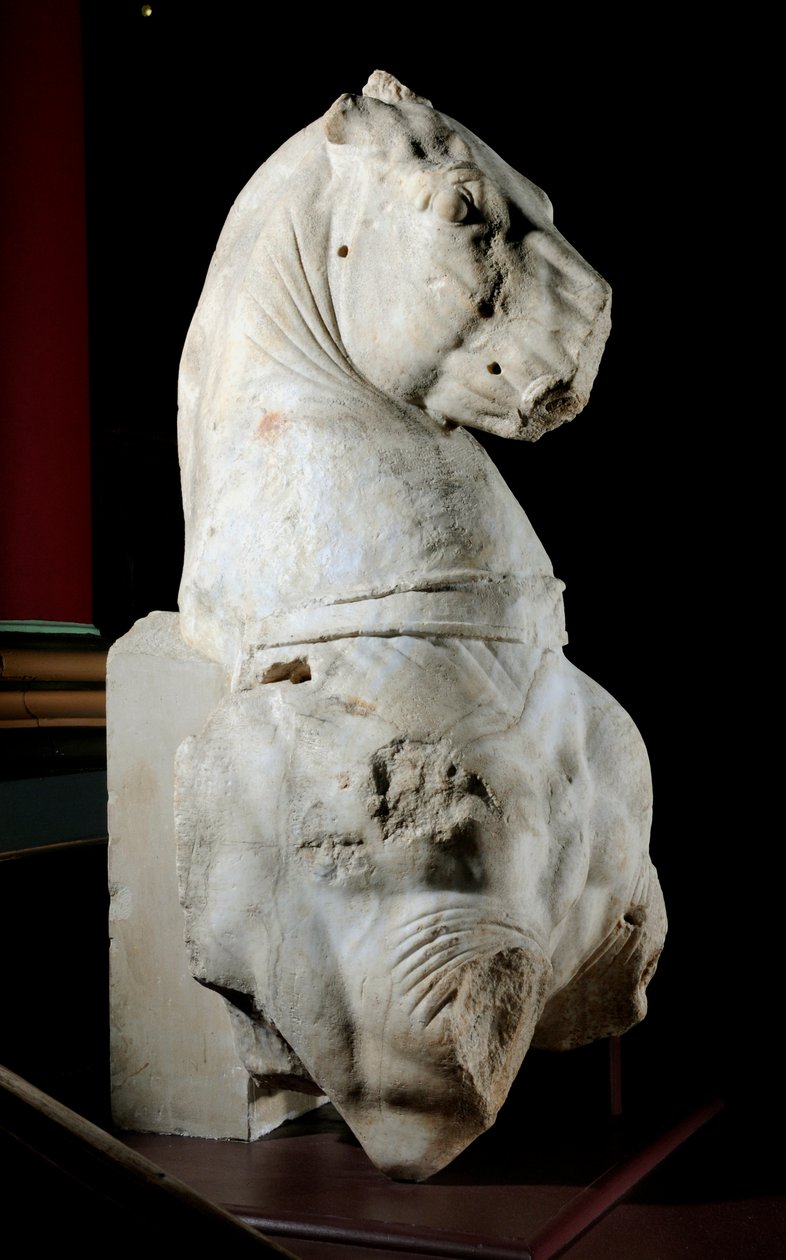 Hevosen etuosa (marmori) (katso myös 371183 & 371184) tekijältä Roman Roman