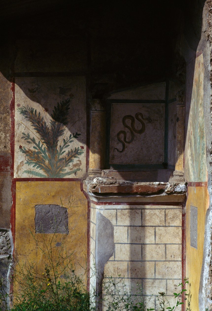 Vilaus talosta Via di Castriciossa, Pompeijissa (UNESCOn maailmanperintöluettelo) tekijältä Roman Roman