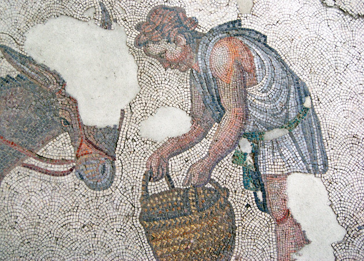 Mosaiikki, joka kuvaa miestä ruokkimassa muuliaan, Arasta Bazaar, Sultan Ahmetin moskeija, Istanbul. tekijältä Roman Roman