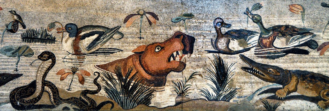 Pompeijin mosaiikkifriisi (eläintalo, casa del Fauno - nilootti - eläinkohtaus - eläimistö Niilillä: virtahepo, krokotiili, käärme, ankat - roomalaista taidetta - Napolin arkeologinen museo, Italia - Museo Archeologico Nazionale, Napoli, Italia - Kuva Patr tekijältä Roman Roman