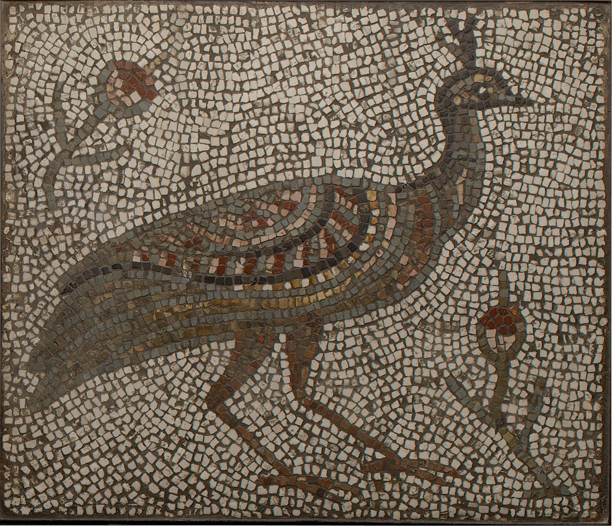 Mosaiikki, jossa on riikinkukko ja kukkia, 3.-4. vuosisata (mosaiikkia) tekijältä Roman Roman