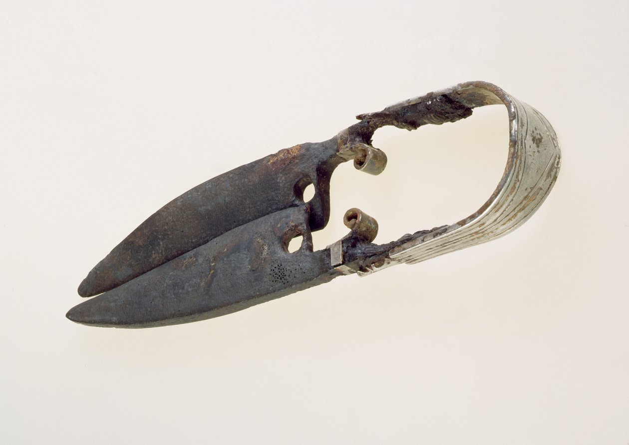 Leikkauspari (pronssi) tekijältä Roman Roman