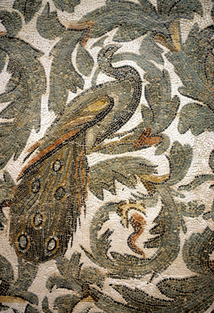 Riikinkukko, mosaiikin yksityiskohta - 4. vuosisadalla eKr., Bardo-museo, Tunis tekijältä Roman Roman