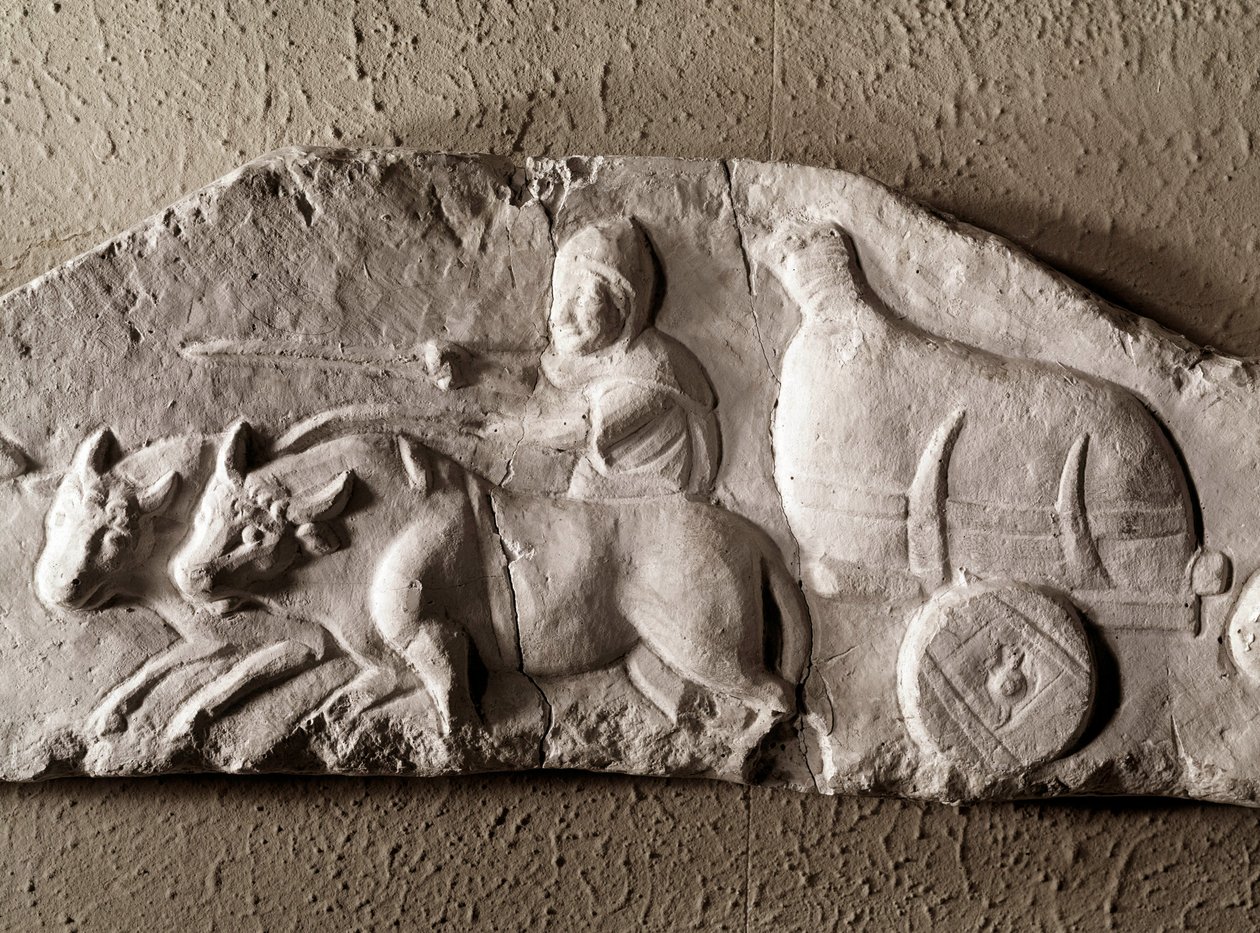 Roomalainen taide: veistetty härkätankki, Rooman antiikin museo, Rooma tekijältä Roman Roman