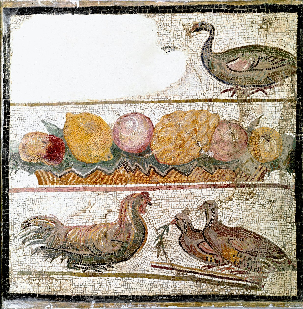 Roomalainen taide: mosaiikki, joka esittää kanoja, hanhia, siipikarjaa. Rooma, National Roman Museum - roomalainen taide. Eläimet ja hedelmät, Mosaiikki. National Roman Museum, Rooma, Italia tekijältä Roman Roman