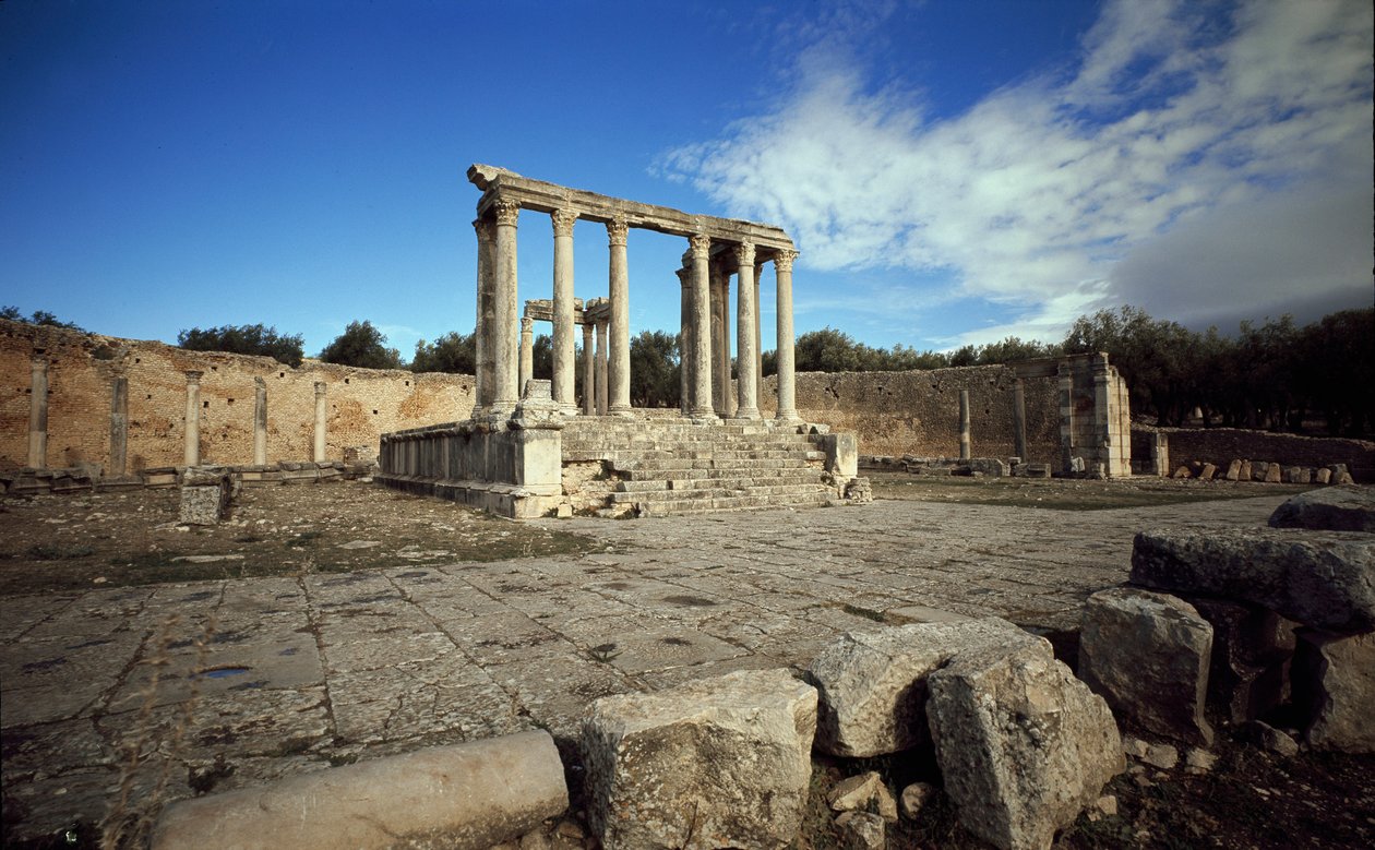 Taivaallisen Junon temppeli tekijältä Roman Roman