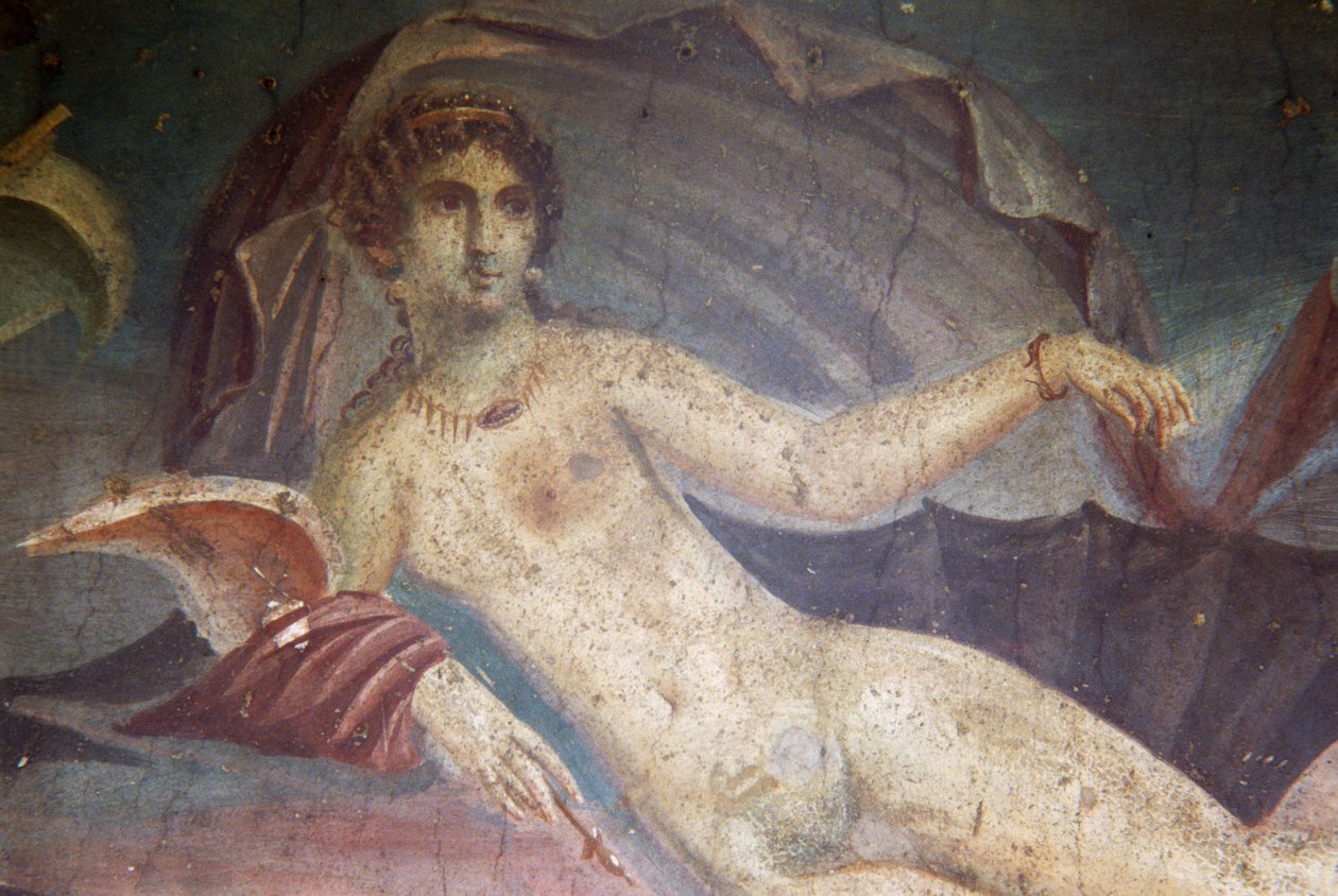 Venus kuoressa, yksityiskohta freskosta peristyliumissa, House of Venus in the Shell, Pompei (UNESCOn maailmanperintöluettelo) tekijältä Roman Roman